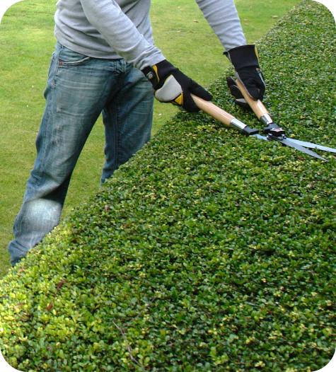 Paysagiste Demo 5 Img Presta1