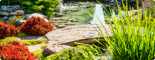 Paysagiste Demo 5 Real5